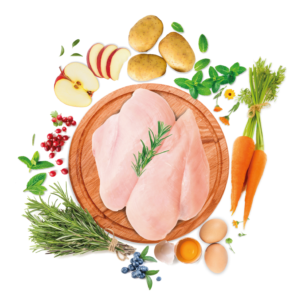 chickeneggscomp 2 chickeneggscomp 2