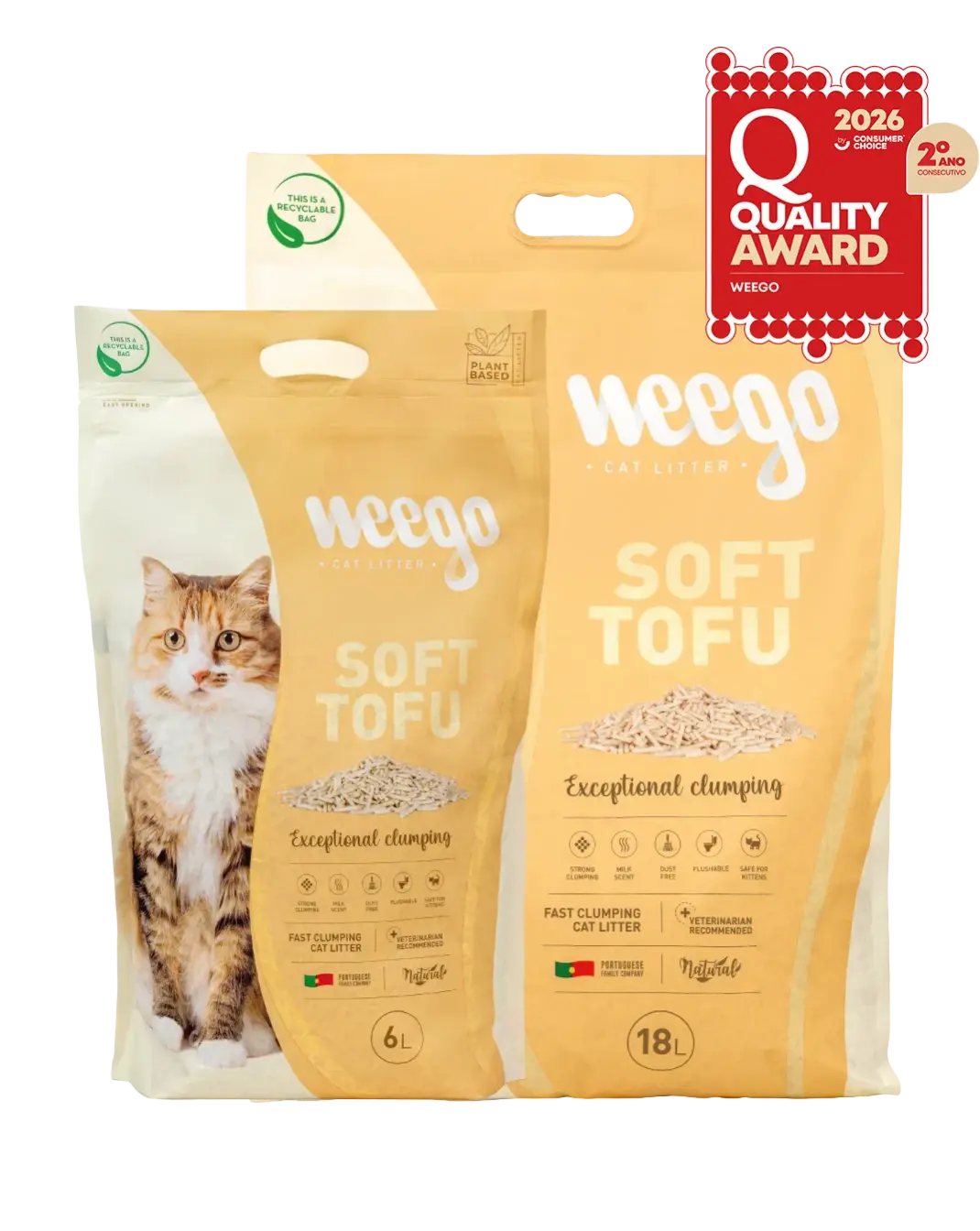 tofusoft qa.webp 1070x1344 tofusoft qa.webp 1070x1344