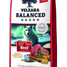 transparent velxara balanced beef adult