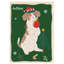 adventskalender standard galeriebilder 2026 nd24.jpg